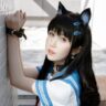 不呆猫