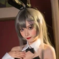 阳炎型小菠萝